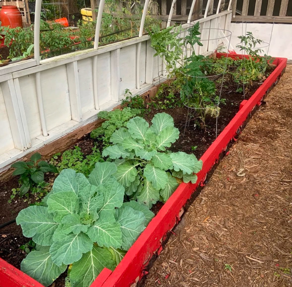 Ground Up: The Garden